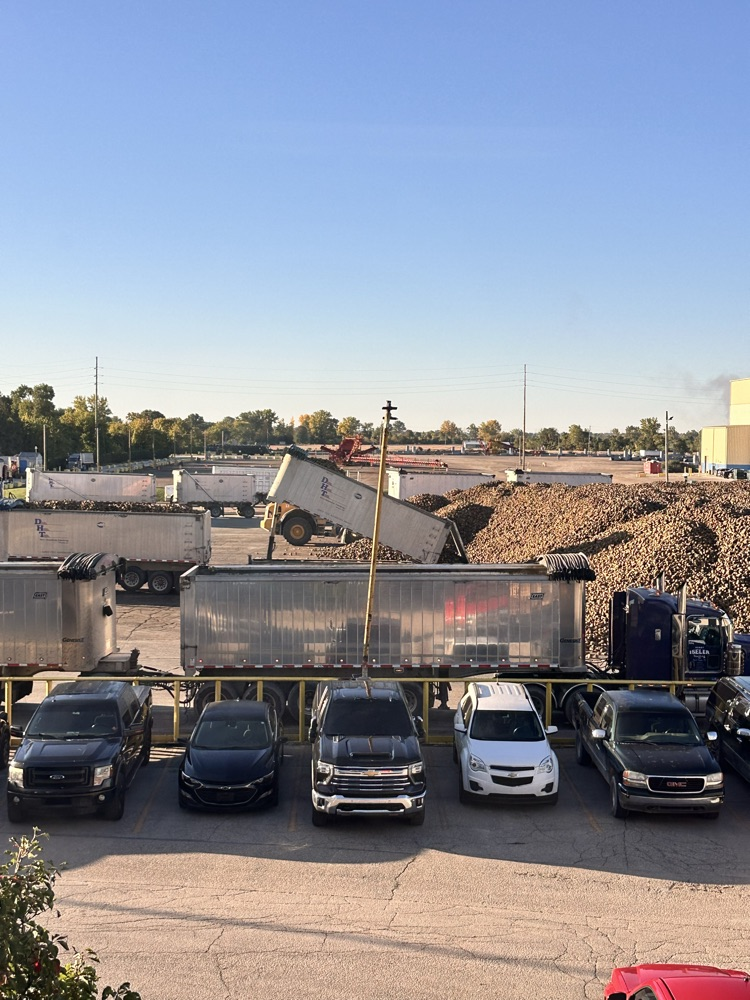sugar beet trucks