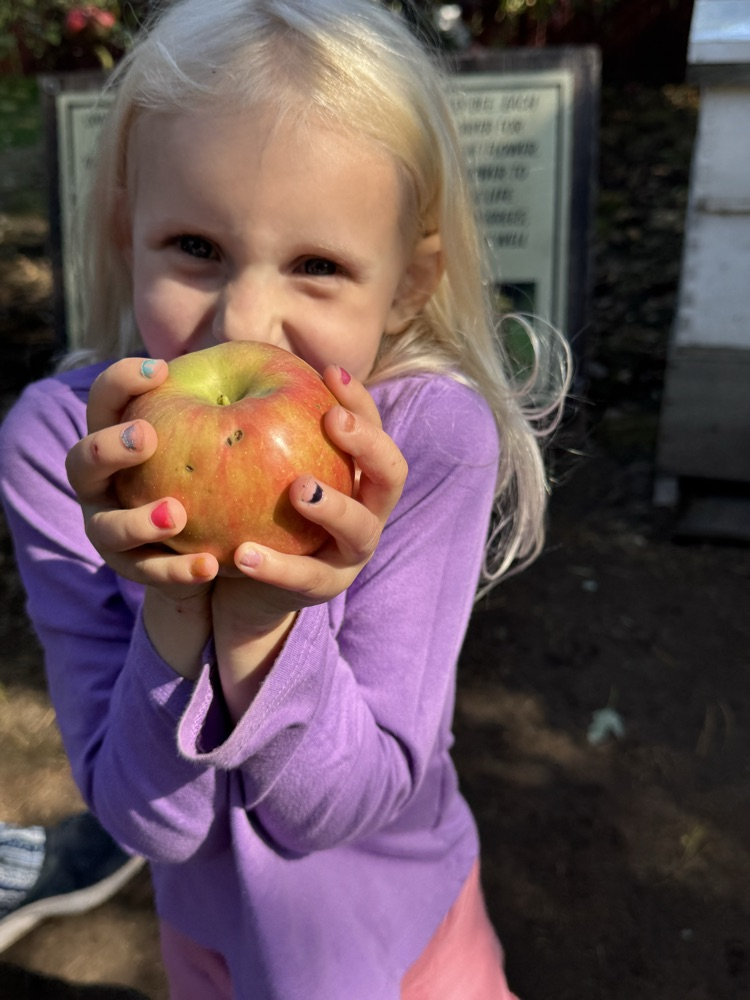 Apple picking 