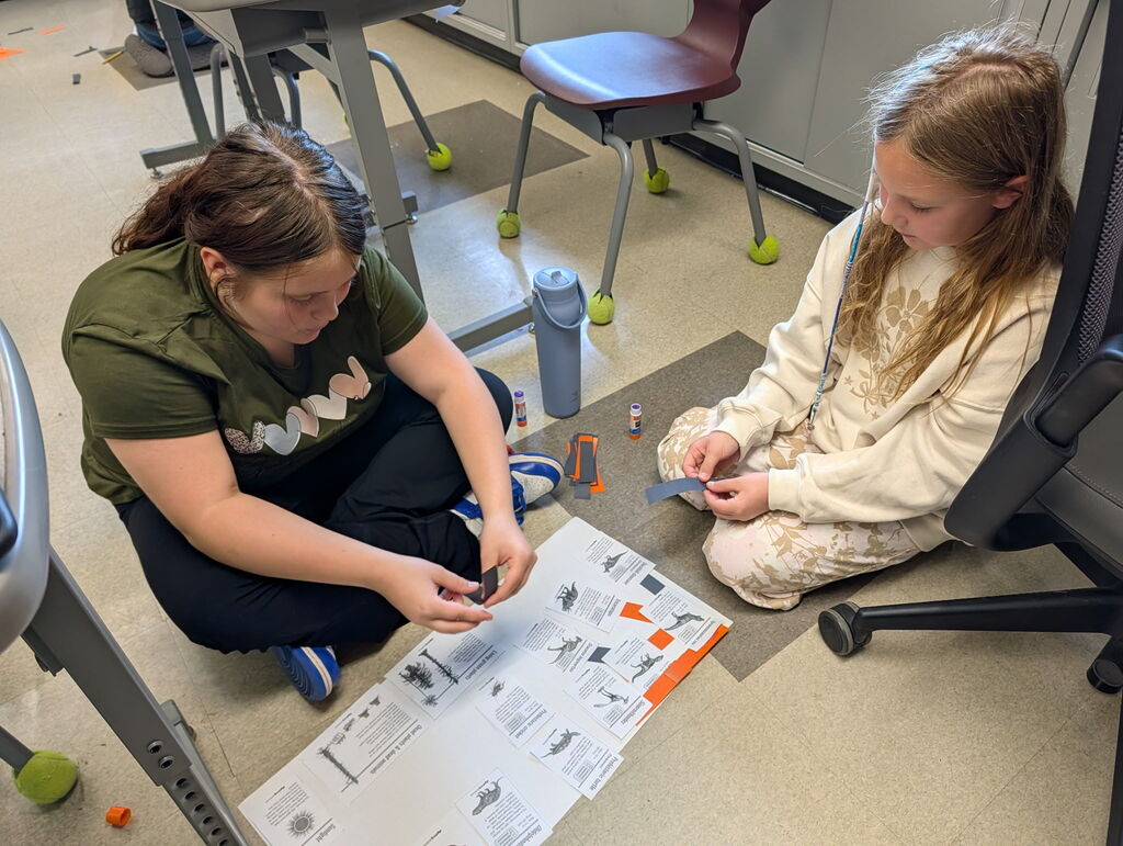 figuring out dinosaurs food web