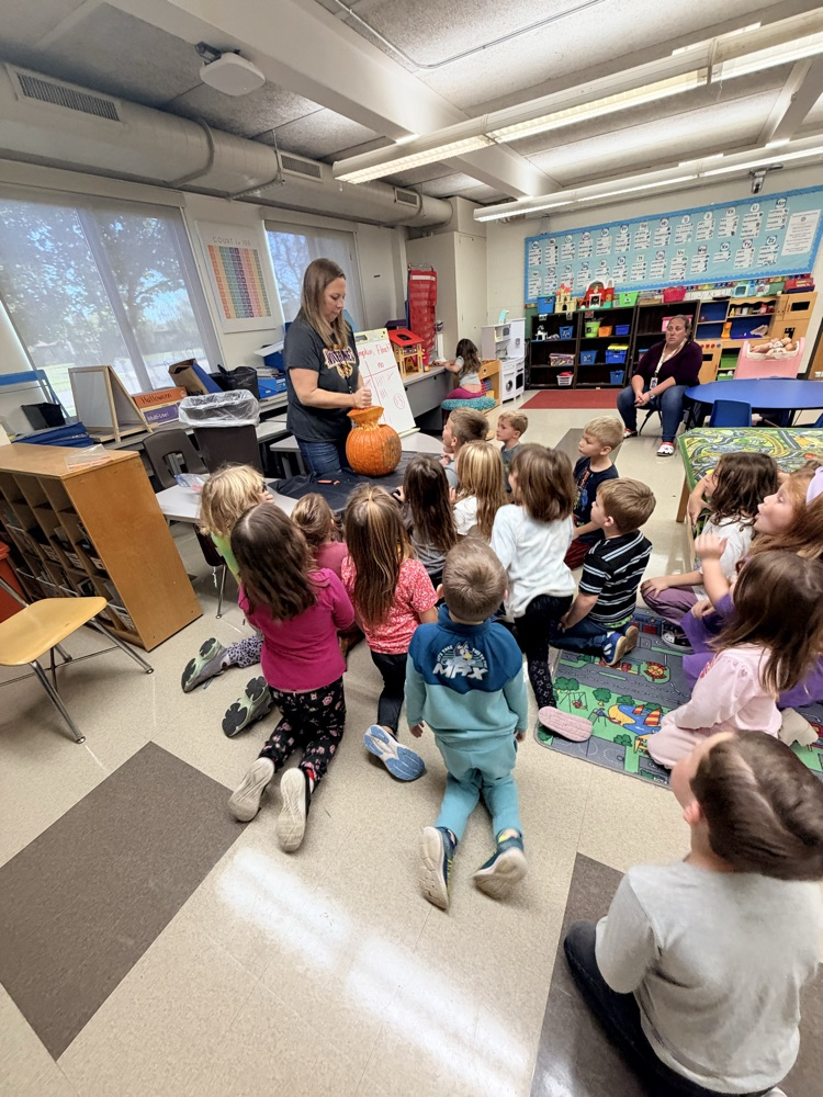 class explores a pumpkin