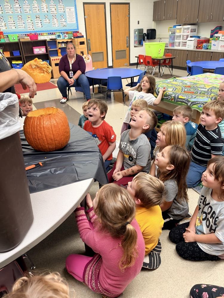 class explores a pumpkin