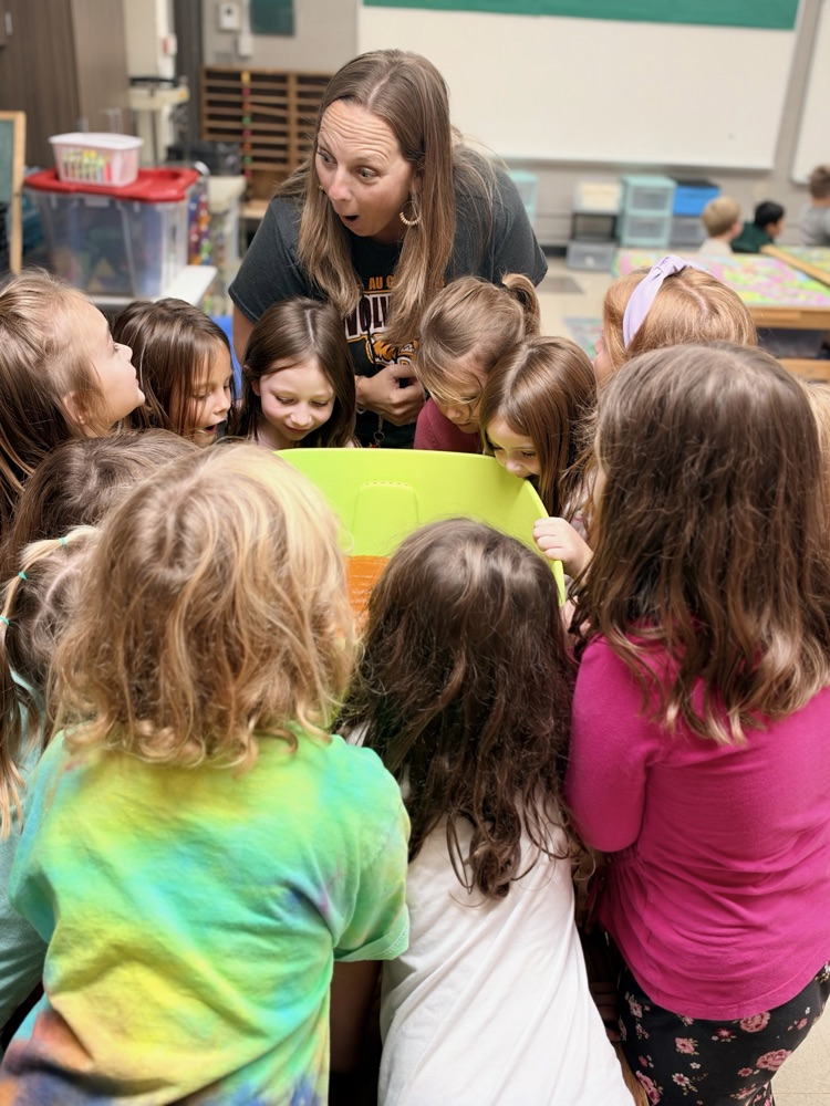 class explores a pumpkin