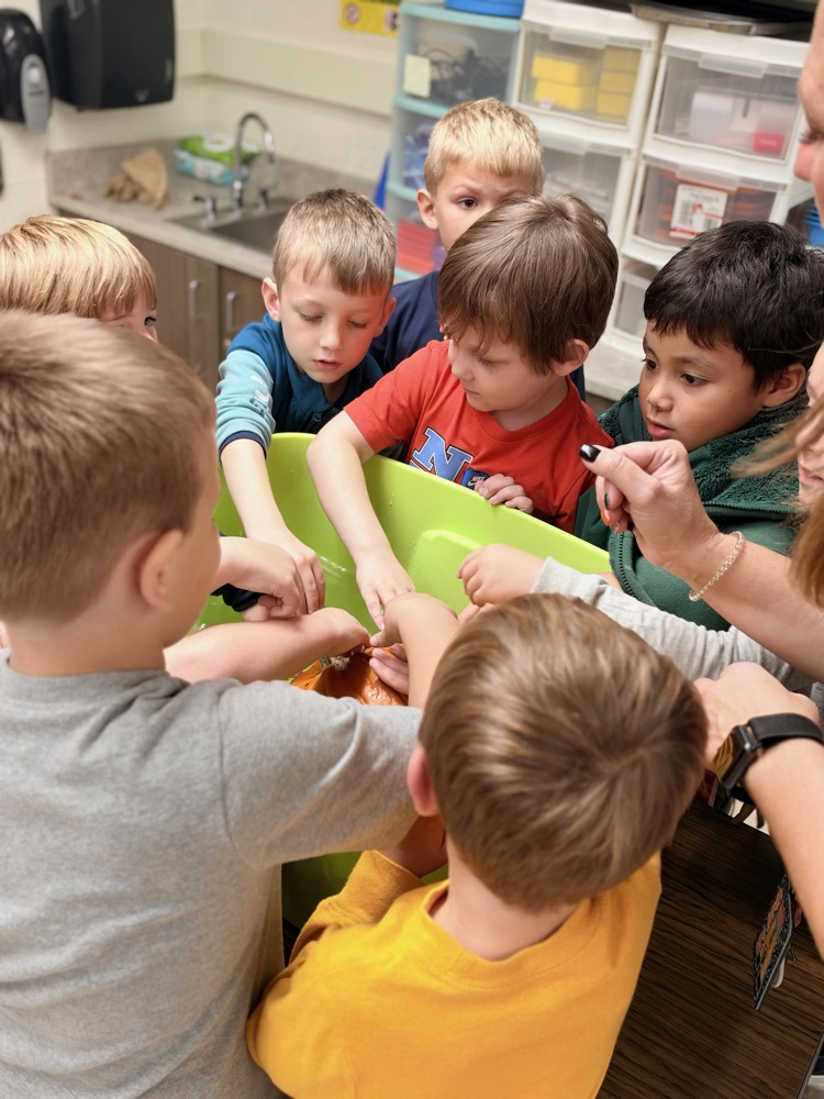 class explores a pumpkin