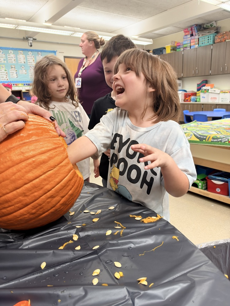 class explores a pumpkin