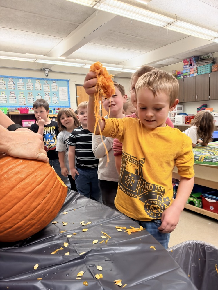 class explores a pumpkin