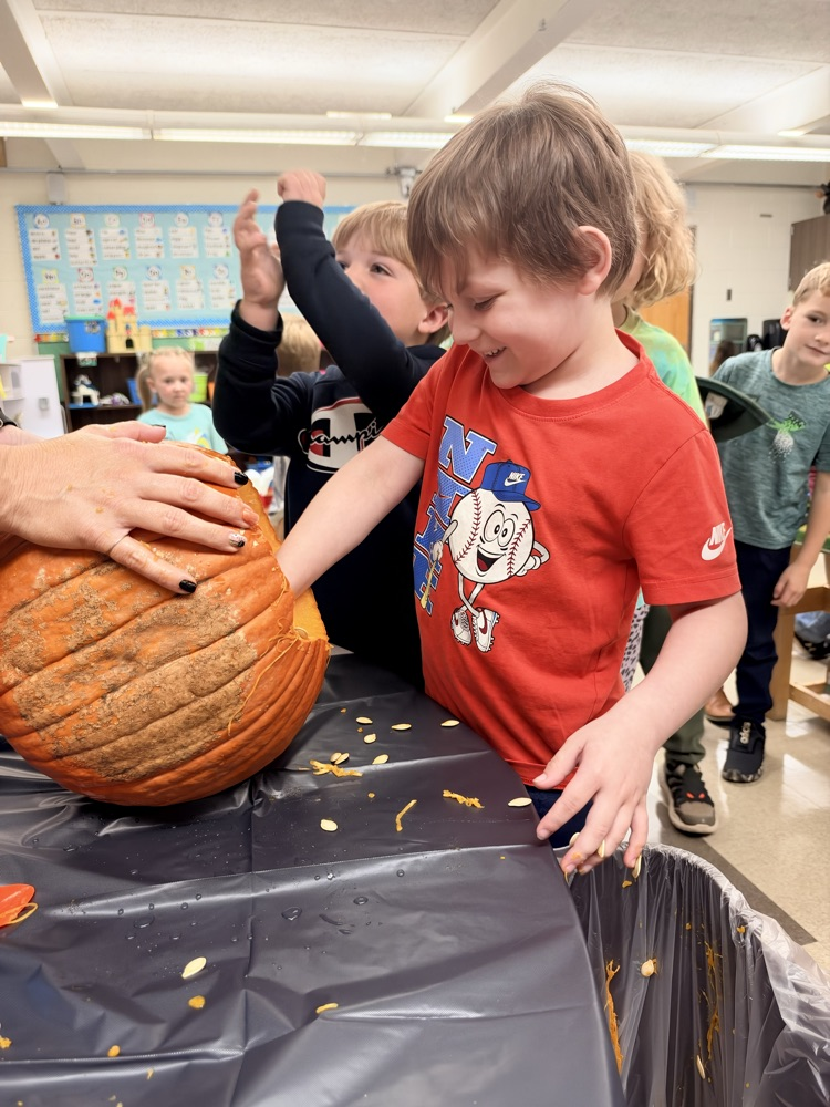 class explores a pumpkin