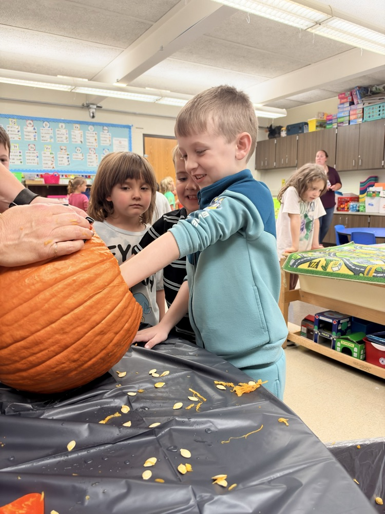 class explores a pumpkin