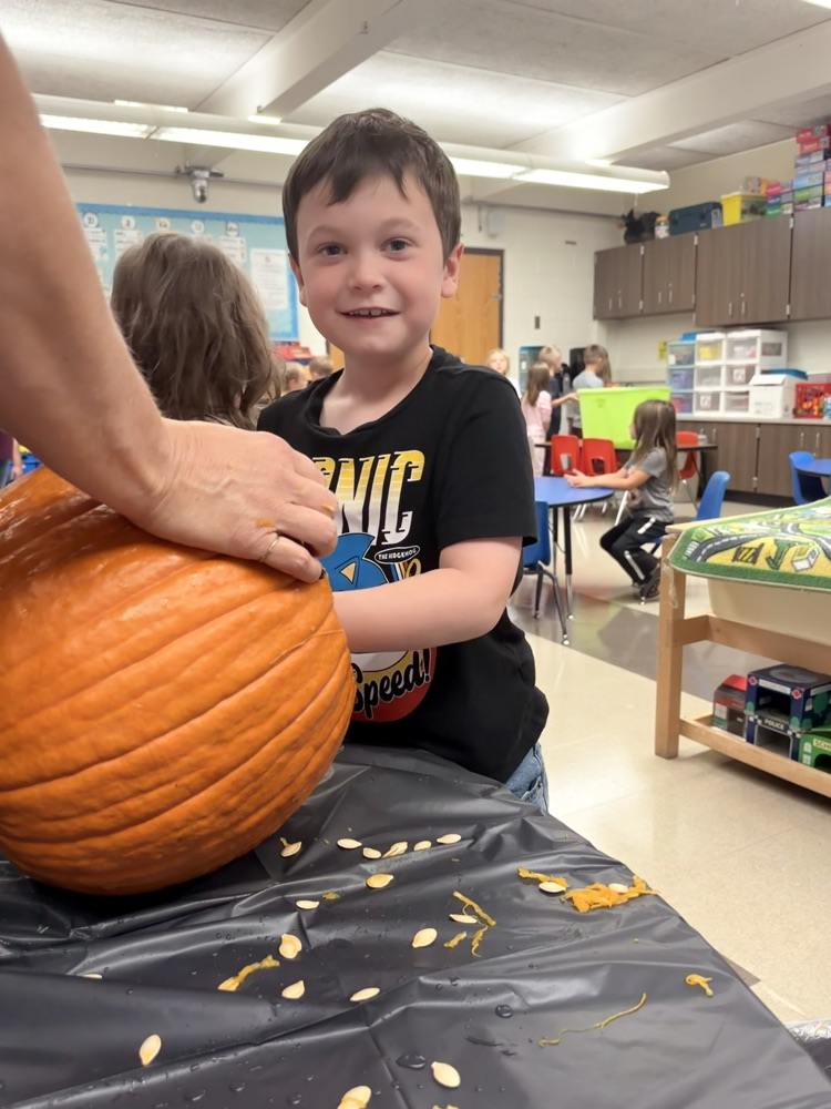 class explores a pumpkin
