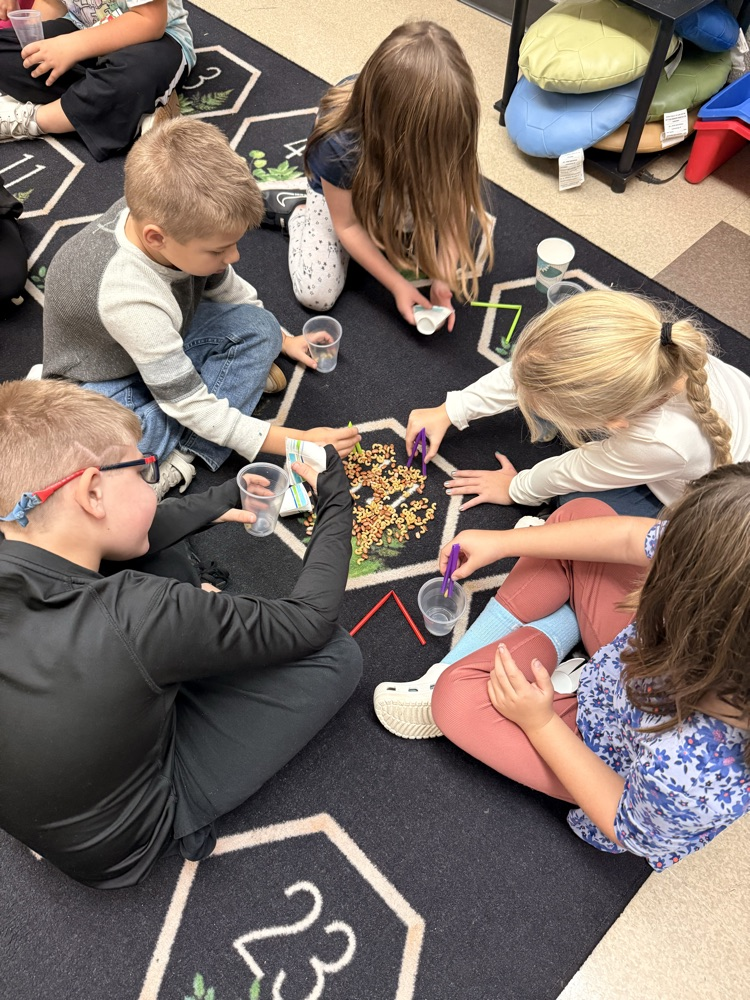 students using different bird beaks to pick up “food” 
