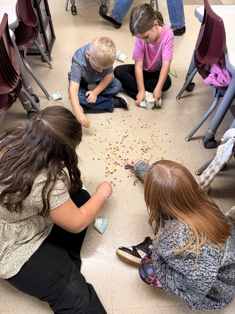 students using different bird beaks to pick up “food"