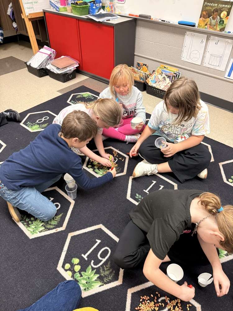students using different bird beaks to pick up “food"