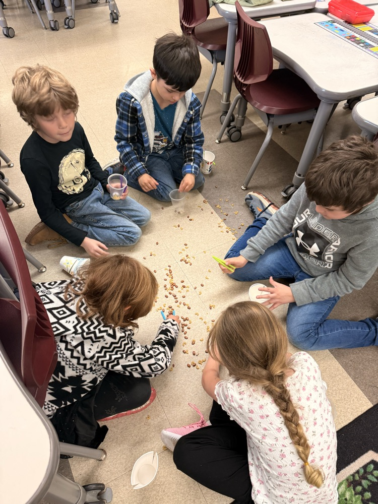 students using different bird beaks to pick up “food"