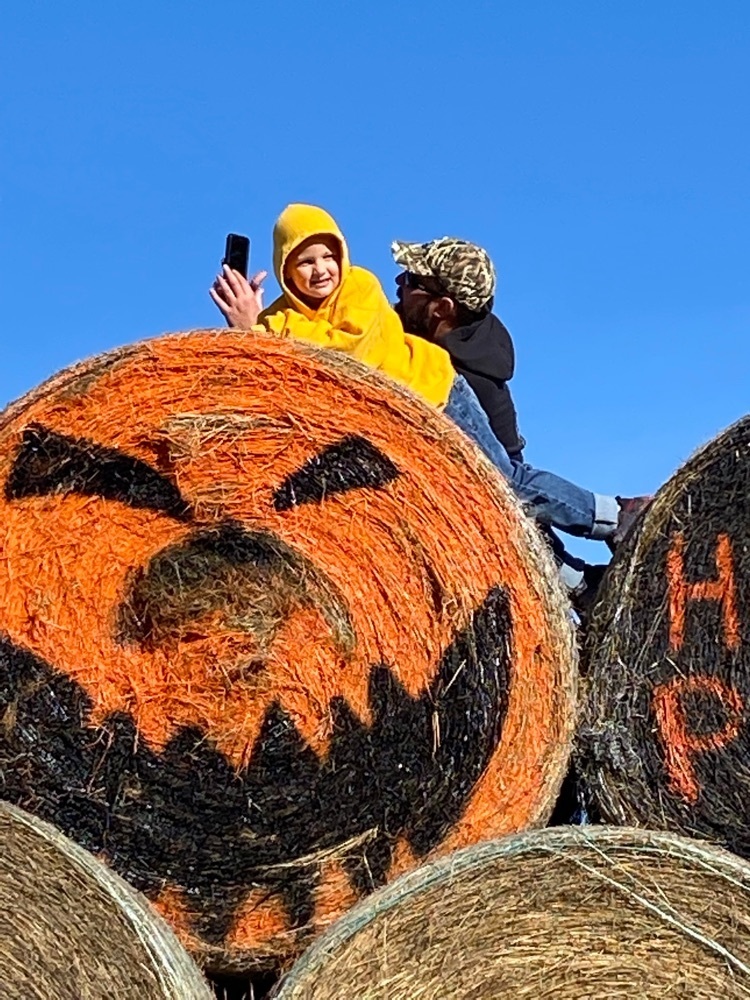 pumpkin 