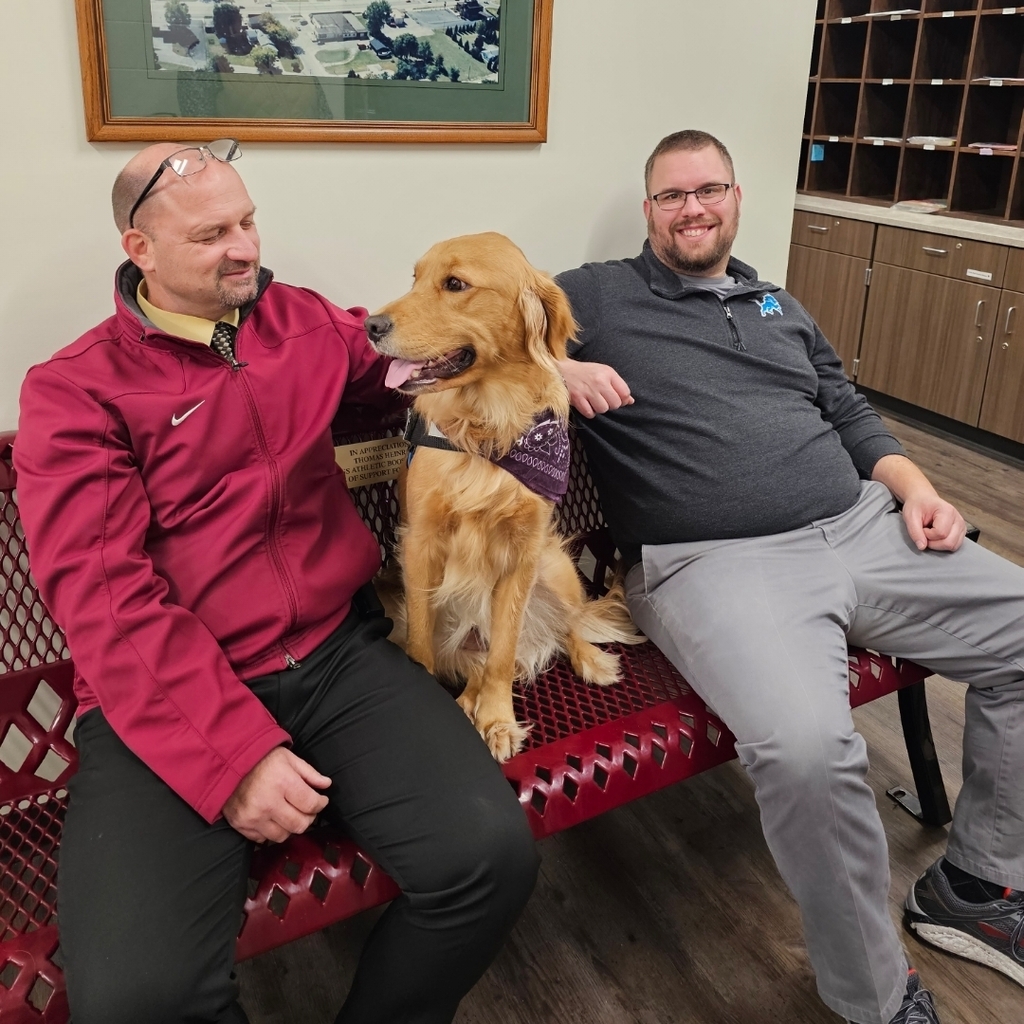 #Therapy Dog