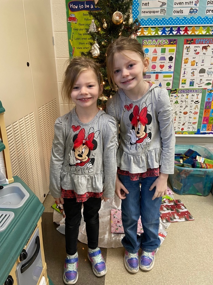 twin