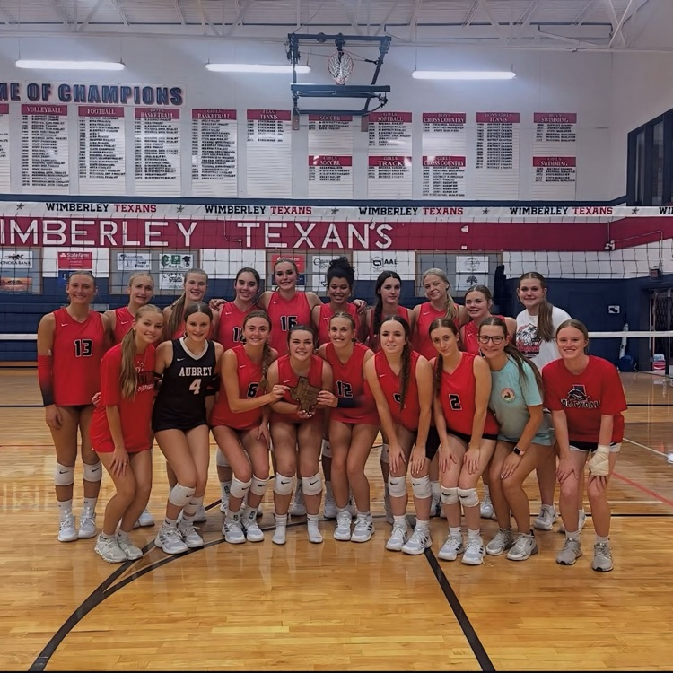 Aubrey volleyball graphic