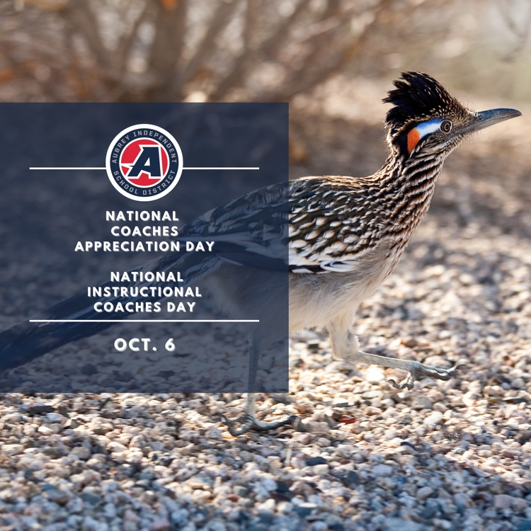 National  Coaches Appreciation Day   National Instructional Coaches Day