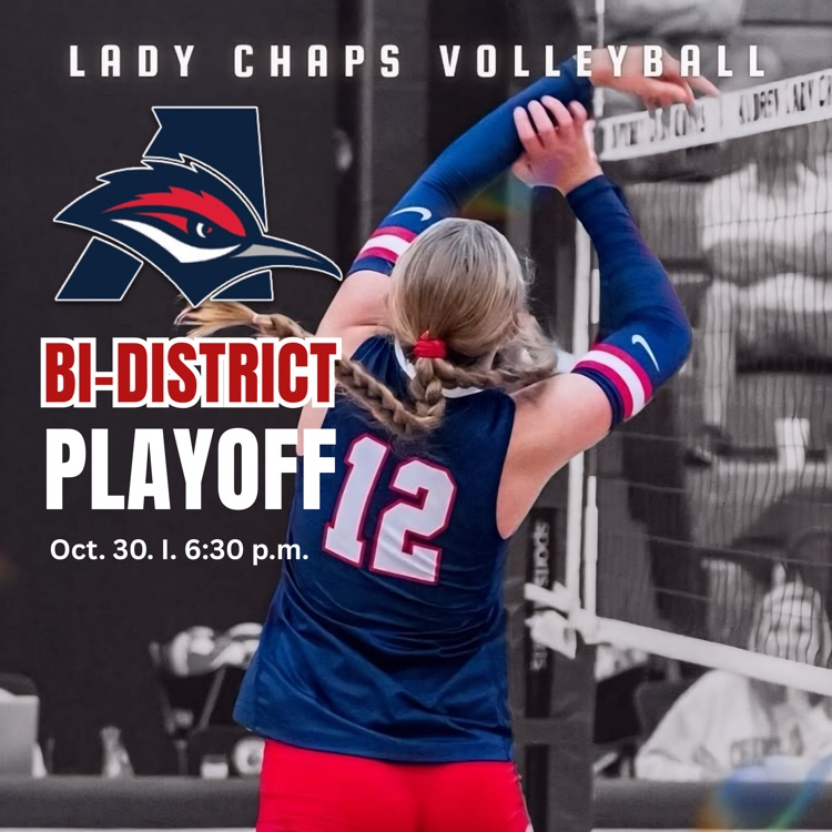 bi district playoff