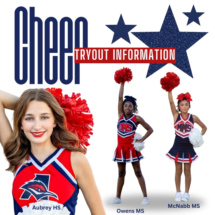 cheer tryout graphic