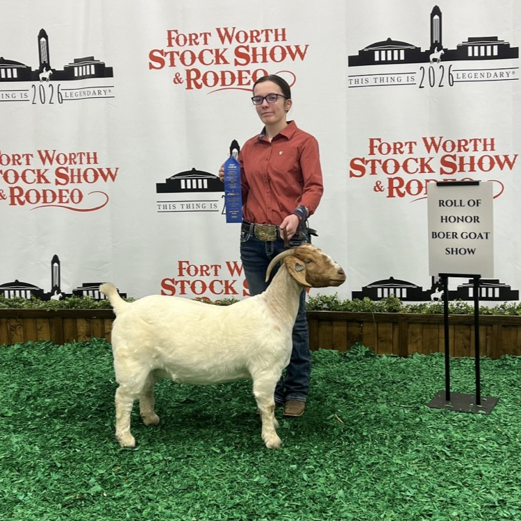 Fort Worth stock show 