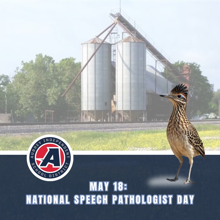 May 18: National Speech Pathologist Day