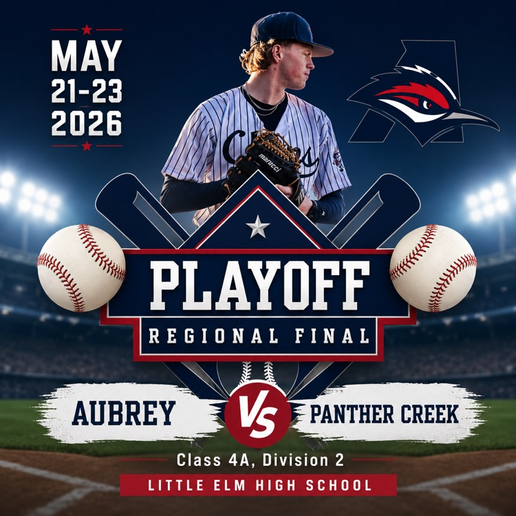 baseball graphic