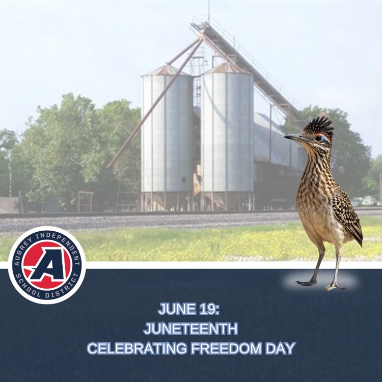 June 19: Juneteenth Celebrating Freedom Day