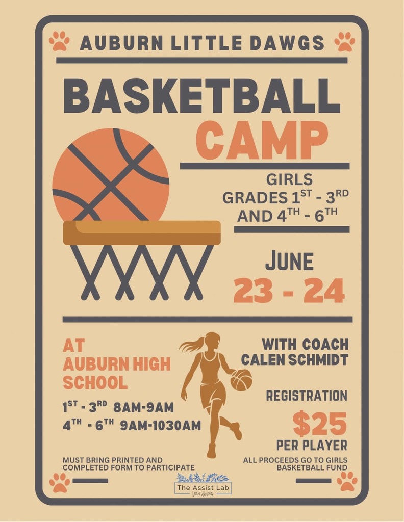 Little Dawgs Basketball camp