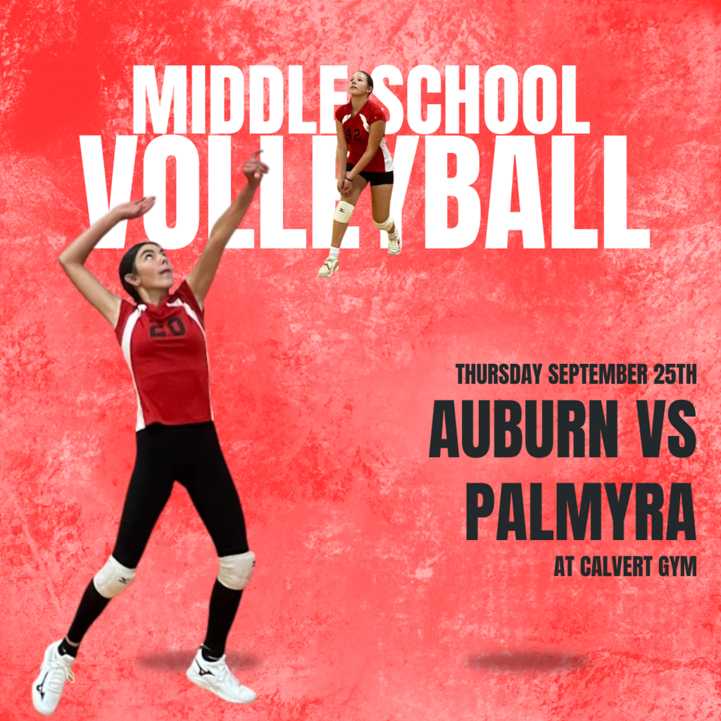 Red and White Dynamic Baseball Good Game Instagram Post