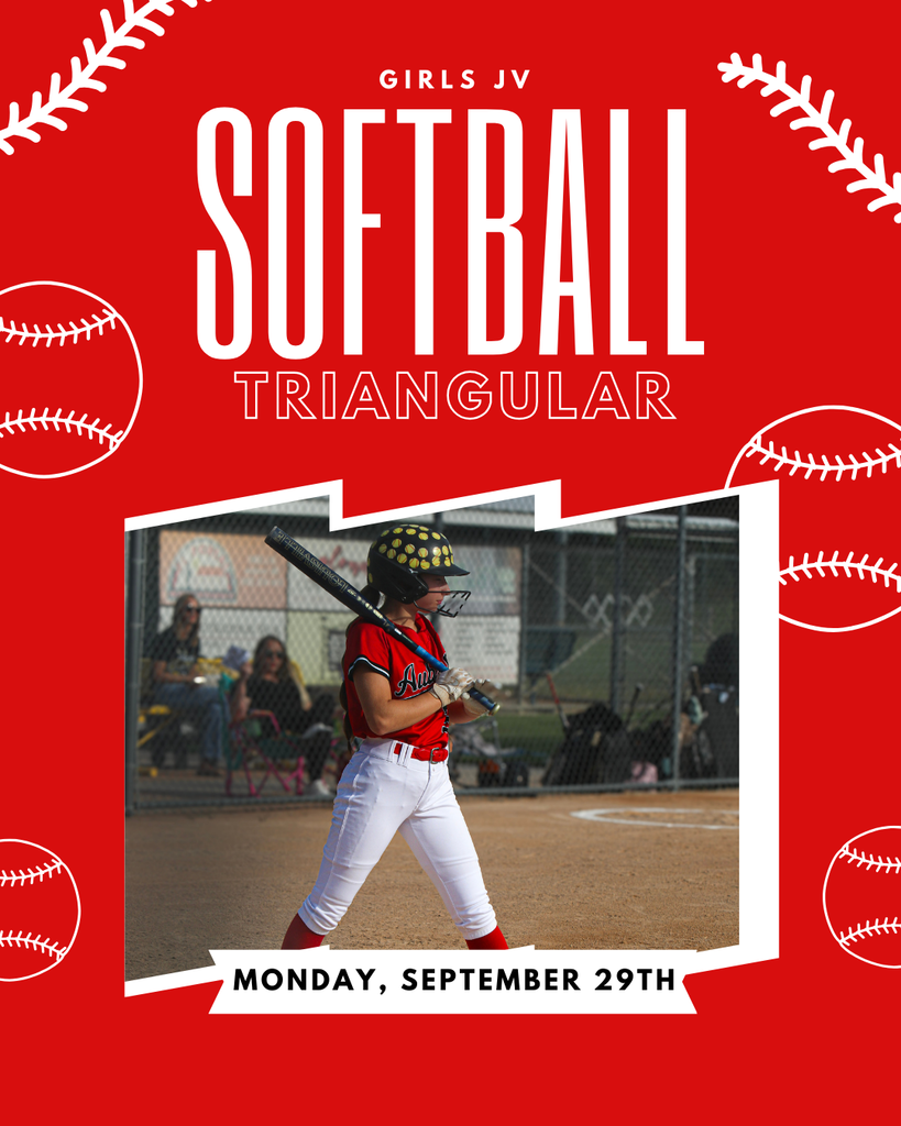 Blue and White Modern Softball Tournament Instagram Post (1)