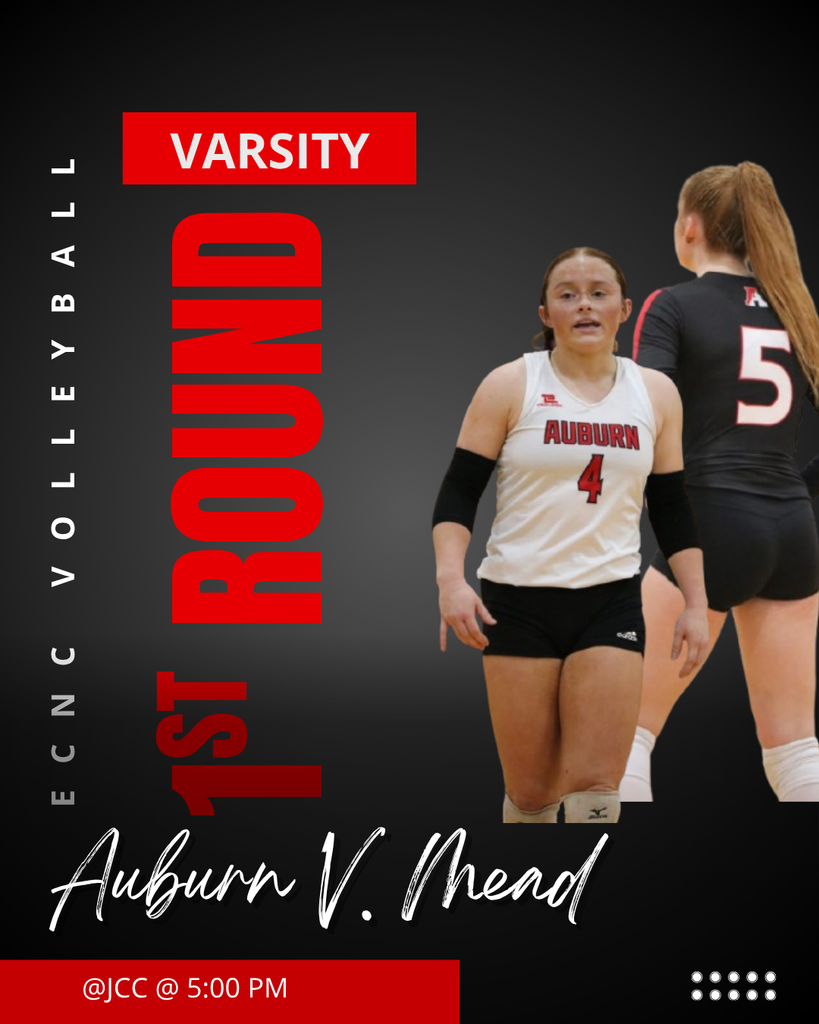 Red Black and White Dynamic Volleyball Finals Instagram Post