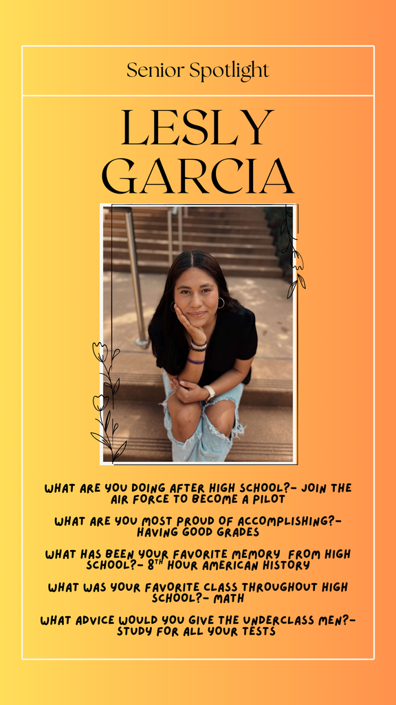 Sage Minimalist Spotlight Blog Post - Instagram Story