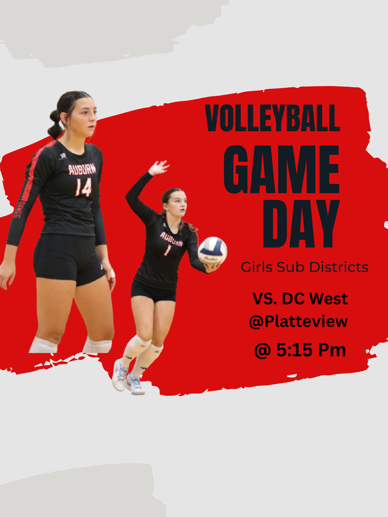 Green and Gray Brush Sport Poster (3)