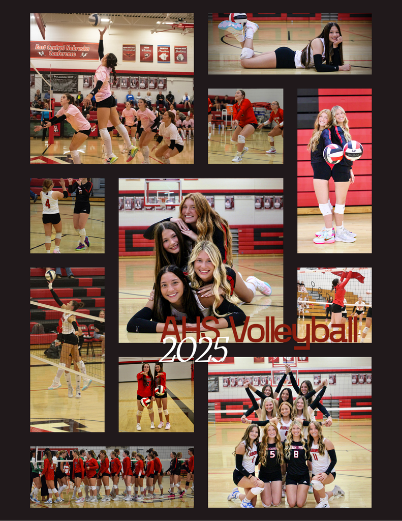 Collage of 15 action shot & posed pictures from the AHS volleyball 2025 season.