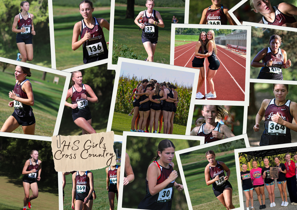Collage of 15 action shot pictures from the girls cross country season.