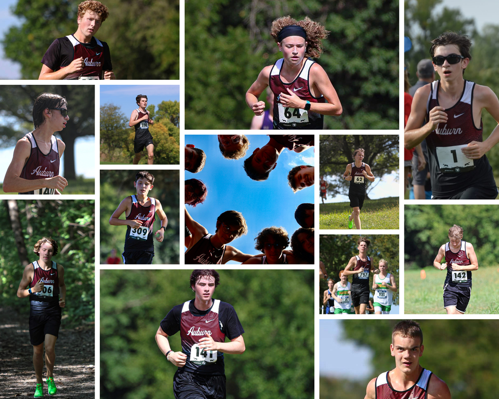 Collage of 15 action shot pictures from the boys cross country season.