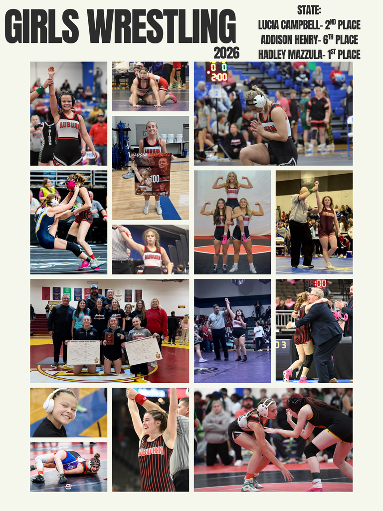 Collage of pictures from girls wrestling season