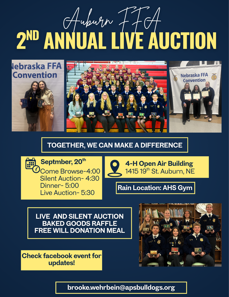 Auction Flyer