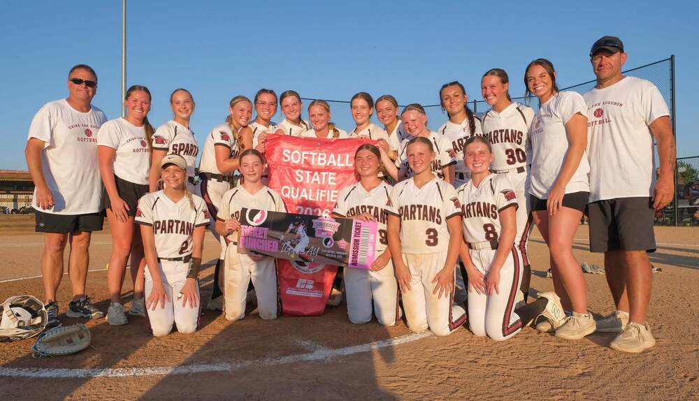 State softball