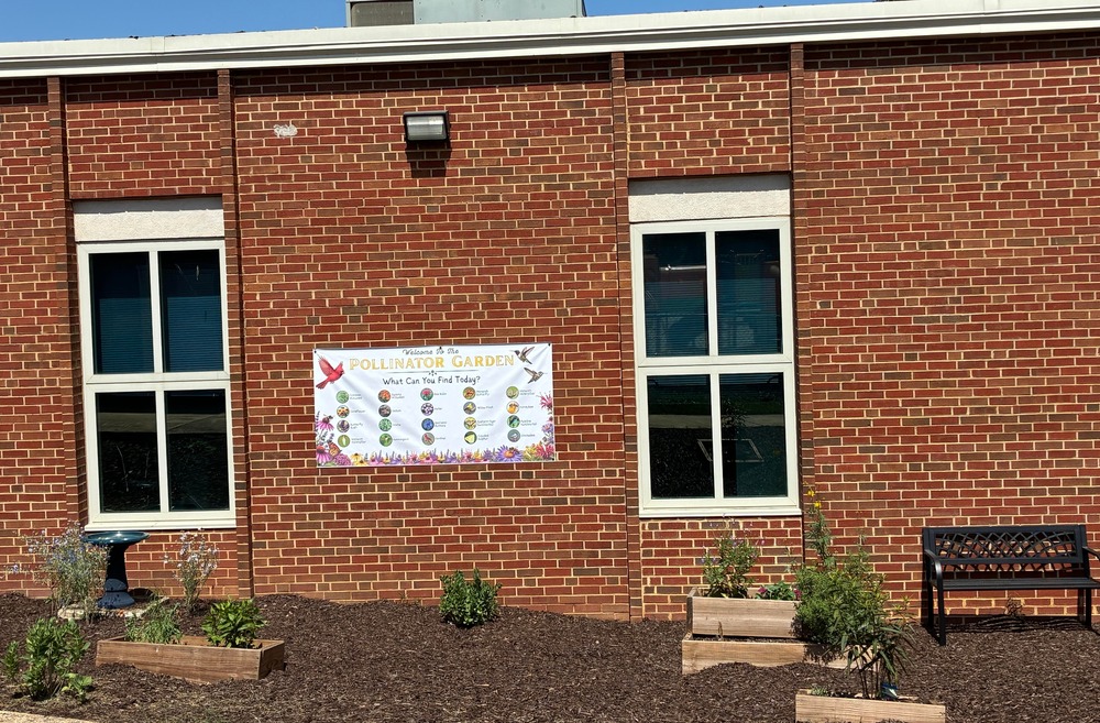 pollinator garden
