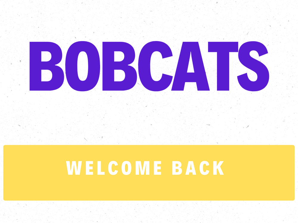 bobcat