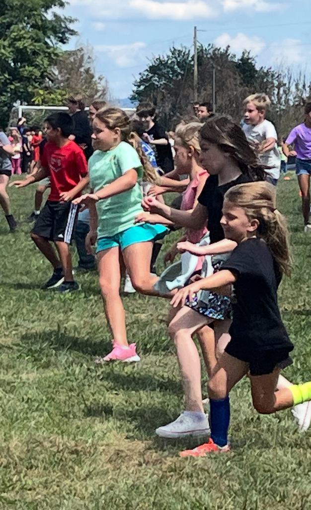 Sharks and minnows