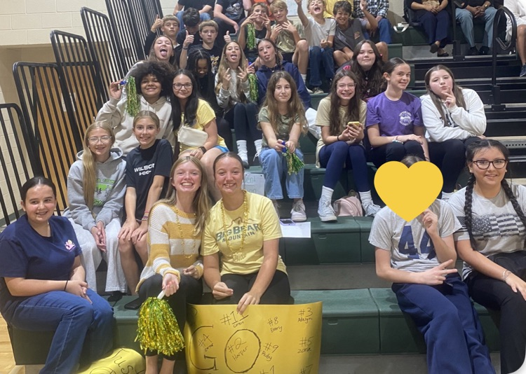 volleyball championship 