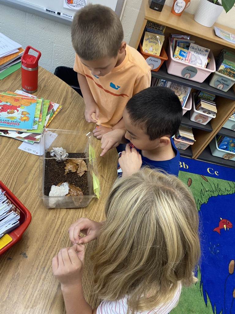 second grade students observing their roly-poly habitat enclosures