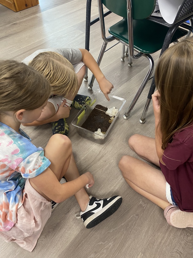 second grade students observing their roly-poly habitat enclosures