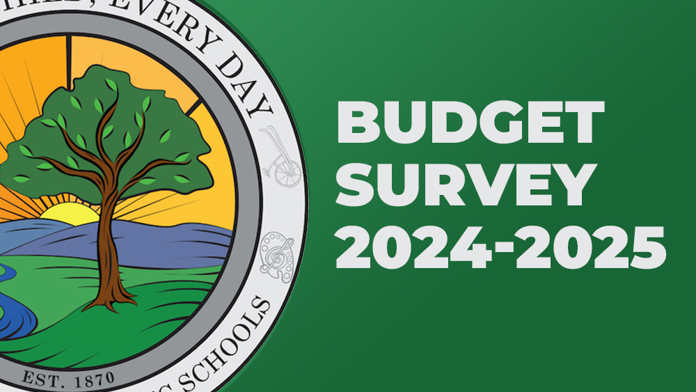 Budget Survey 2024-2025