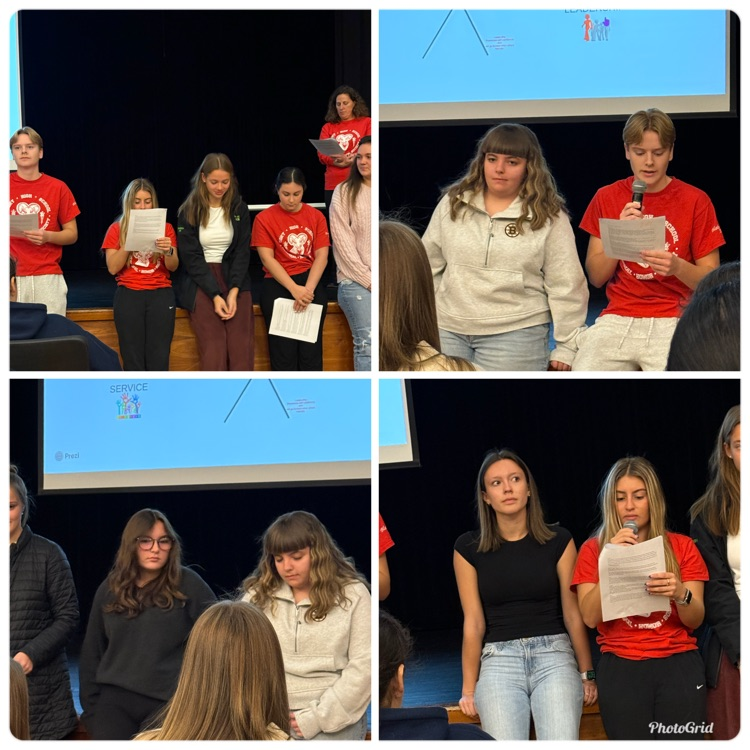 NHS Induction and Attendance Awards