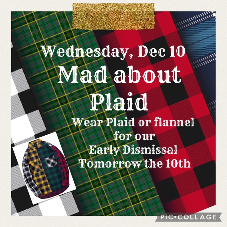 plaid