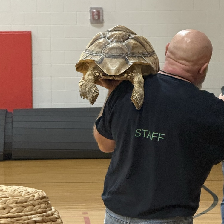 Mr. Drew and his animals