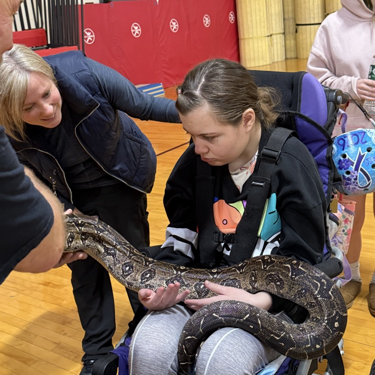 Mr. Drew and his animals